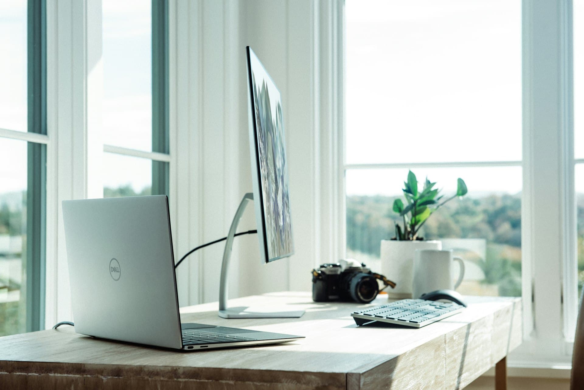 cPanel vs Plesk: Which Control Panel Is Better for Your Business in 2025?